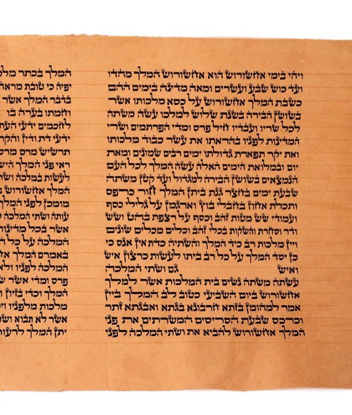 Meguilat Esther on Gvil standard - Image 8